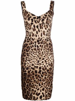 Dolce & Gabbana - Brown Leopard Print Midi Dress