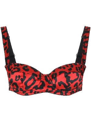Dolce & Gabbana - Red Leopard Print Silk Balconette Bra