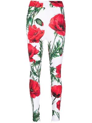 Dolce & Gabbana - White Poppy Print Leggings
