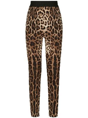 Dolce & Gabbana - Brown Leopard Print Leggings