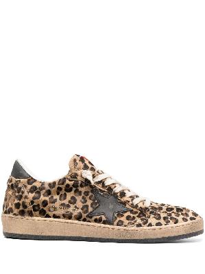 Golden Goose - Brown Ball Star Leopard Print Sneakers