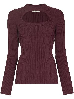 Aeron Tulane cut-out knitted top