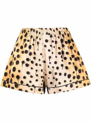 Dsquared2 leopard print pyjama shorts