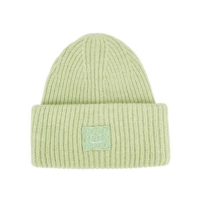 Acne Studios Pansy Light Green Ribbed Wool Beanie